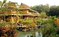 8大森林樂園