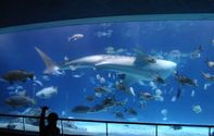 國立海洋生物博物館