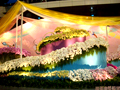 2009台北國際花卉-