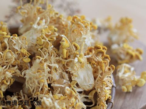 菇類食品_有機珊瑚菇乾燥