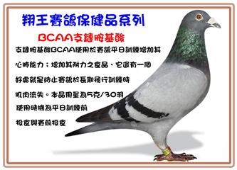 翔王賽鴿保健BCAA支鏈胺基酸-