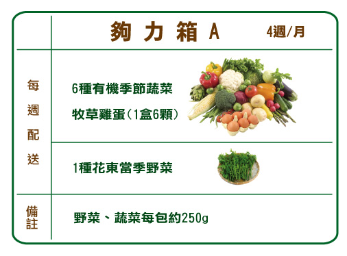有機蔬菜宅配(東風有機蔬菜宅配箱【夠力箱A】)-