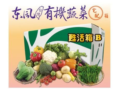 有機蔬菜宅配(東風有機蔬菜宅配箱【甦活箱B】)-
