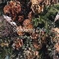 Saladaeng Café