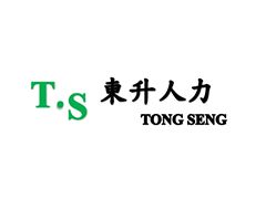 東升人力資源股份有限公司