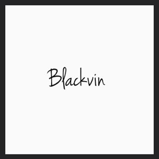 BLACK VIN 服飾店