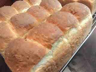 東京時尚烘焙坊