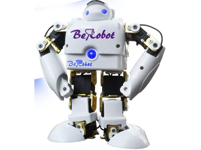 極趣 BeRobot-