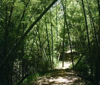 猿山步道