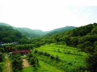 飛鳳山(日出美景)