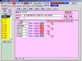 平安年年 太歲燈 點燈信徒管理軟體-