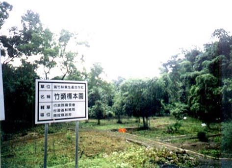 瑞竹竹類標本園-
