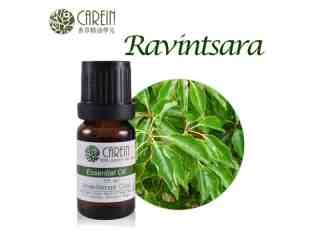 羅文沙葉純精油