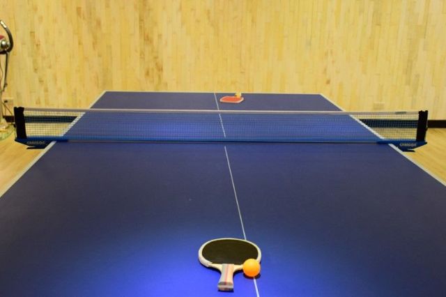 乒乓球檯 Table Tennis-馥麗溫泉大飯店