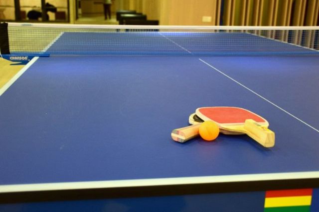 乒乓球檯 Table Tennis-馥麗溫泉大飯店