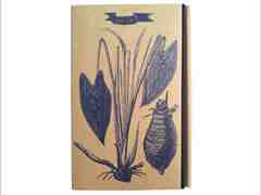 檳榔心芋乳酪蛋糕