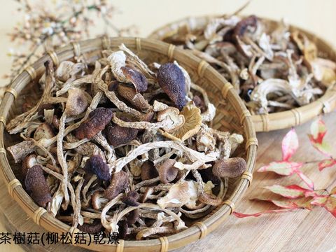 菇類食品_茶樹菇(柳松菇)乾燥