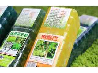 樟腦皂