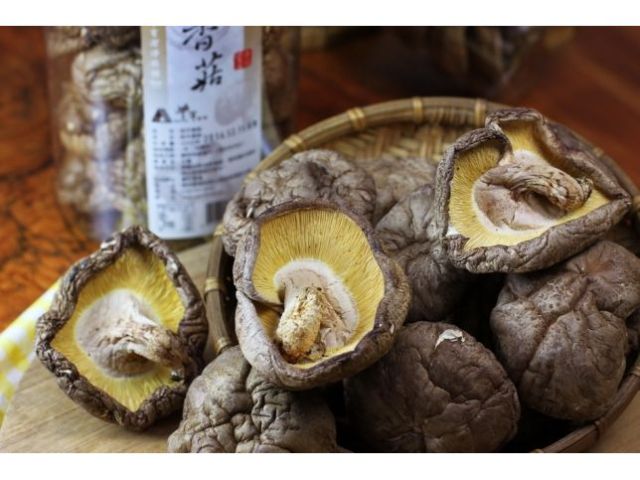 頂級埔里段木香菇-【休閒農場體驗推薦】豐年農場