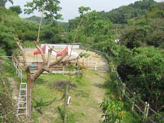 順翌休閒馬場