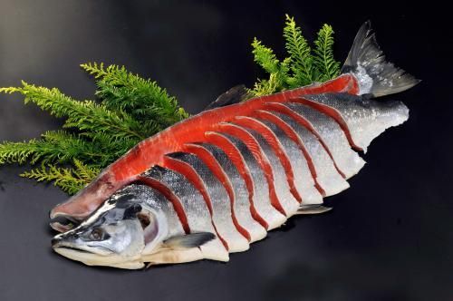 北海道天然野生紅鮭半身-