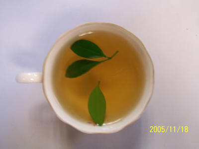 產品介紹,綠茶