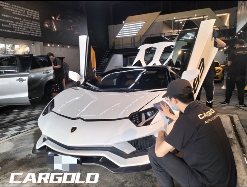 車金專業車體美容-