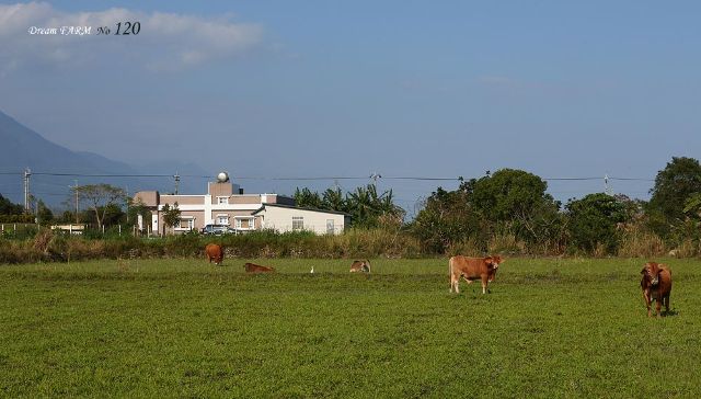 田園夢120民宿-