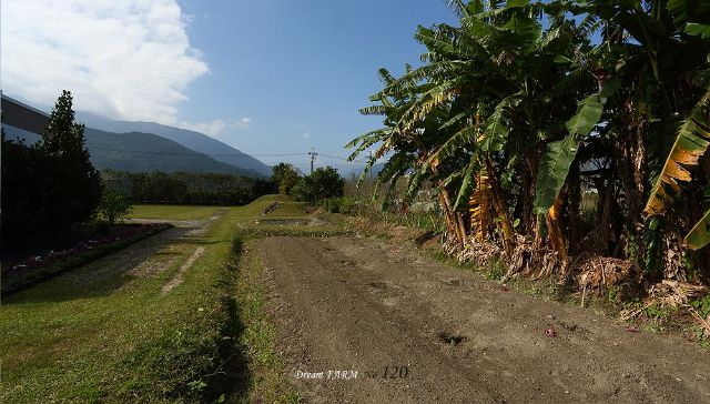 田園夢120民宿-