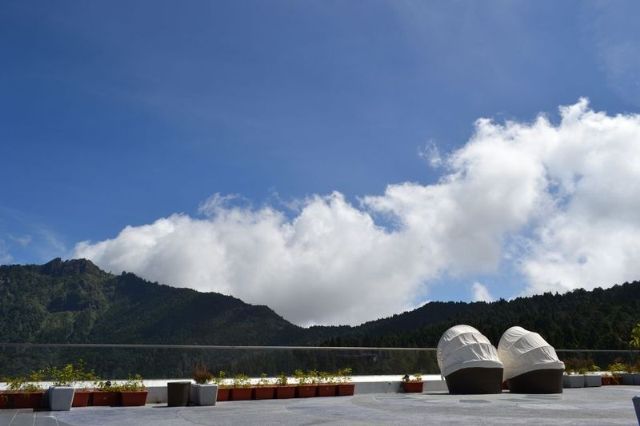 頂樓空中花園-阿里山賓館股份有限公司