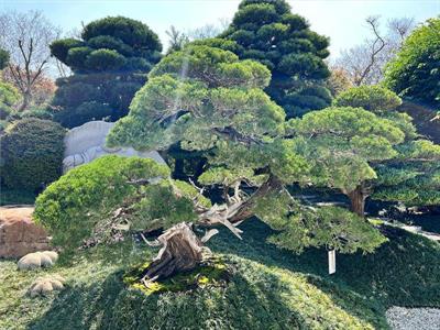 台灣銘園園藝事業