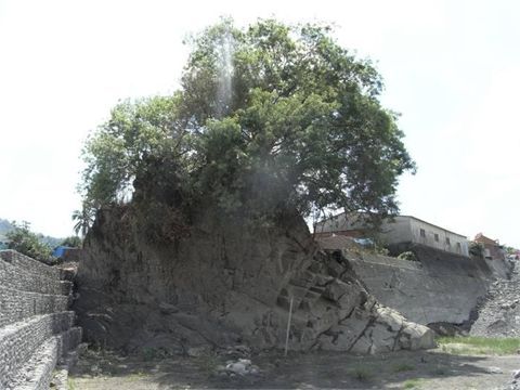 龜王岩