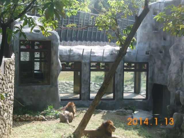 壽山動物園設施整建工程-