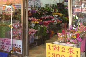 群麗鮮花店-