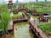 廈門五緣灣濕地公園