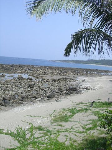 白石牛民宿沙灘漫步區