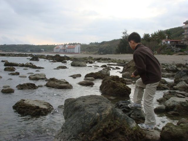 白石牛民宿餵魚區