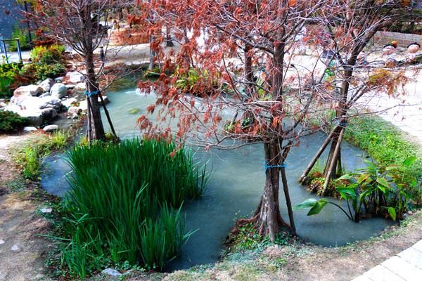 餐廳一隅-