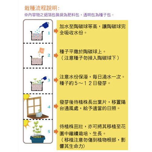 負離子植栽 - 彩葉草-