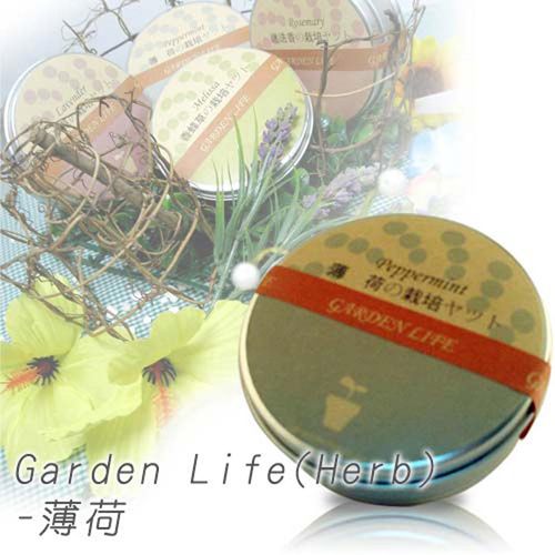 Garden Life Herb - 薄荷-