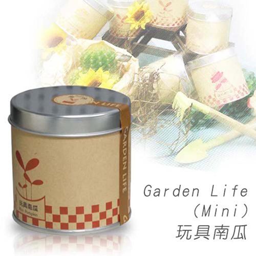 Garden Life Mini - 玩具南瓜-