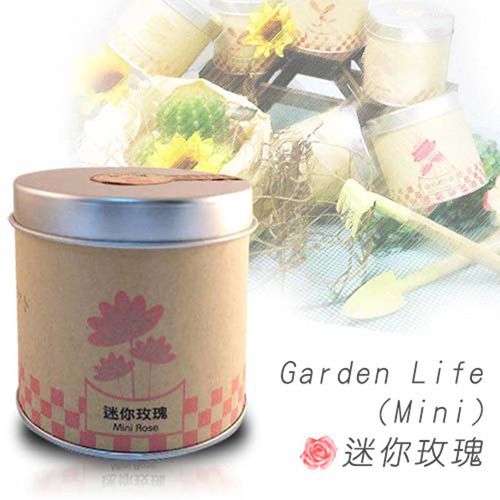 Garden Life Mini - 迷你玫瑰