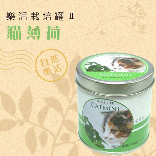 樂活栽培罐Ⅱ- 貓薄荷