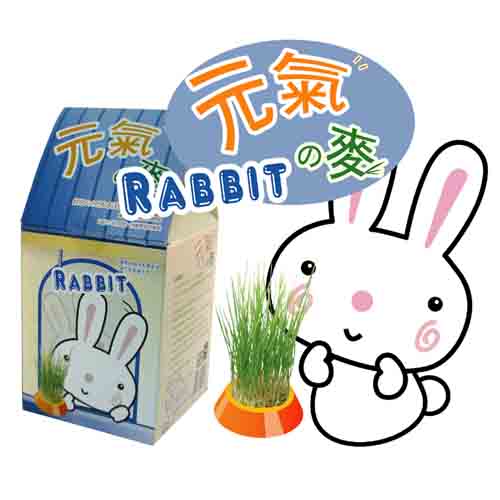 寵物野菜園【兔】Rabbit-