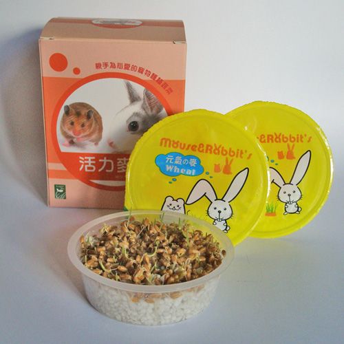 寵物野菜園Ⅱ- 鼠、兔食用-