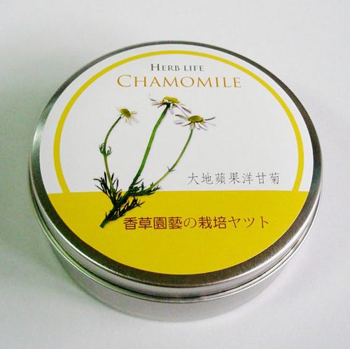 香草栽培罐Ⅱ- 洋甘菊