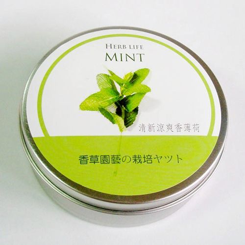 香草栽培罐Ⅱ- 香薄荷