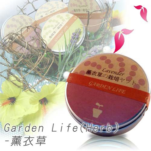 Garden Life Herb - 薰衣草