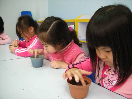 教學活動照片,照顧植物-