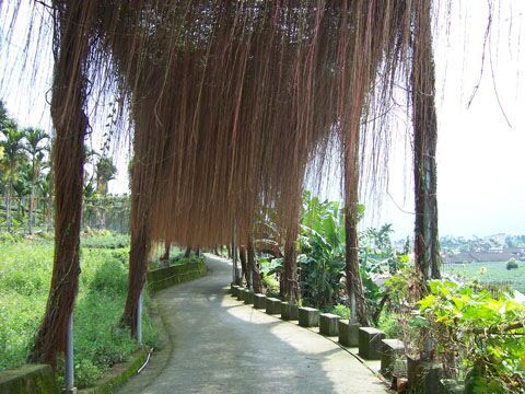 開山廟–大水堀茶街-